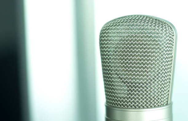 istock Large diaphragm condenser studio recording voice microphone to record professional voiceovers, singing and dubbing 850194902