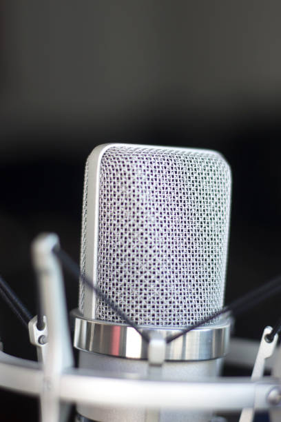 istock Large diaphragm condenser studio recording voice microphone to record professional voiceovers, singing and dubbing 850195006