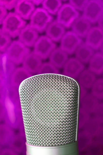 istock Large diaphragm condenser studio recording voice microphone to record professional voiceovers, singing and dubbing 850195030