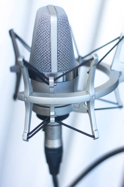 istock Large diaphragm condenser studio recording voice microphone to record professional voiceovers, singing and dubbing 850195132