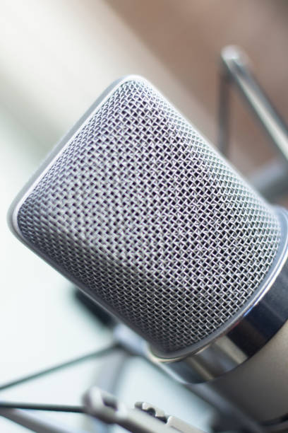 istock Large diaphragm condenser studio recording voice microphone to record professional voiceovers, singing and dubbing 850195386