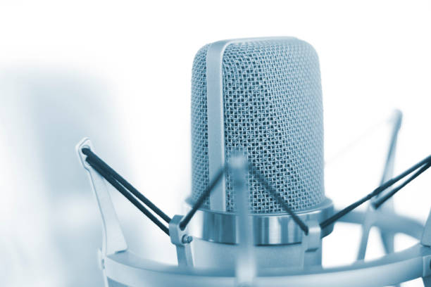 istock Large diaphragm condenser studio recording voice microphone to record professional voiceovers, singing and dubbing 850195560