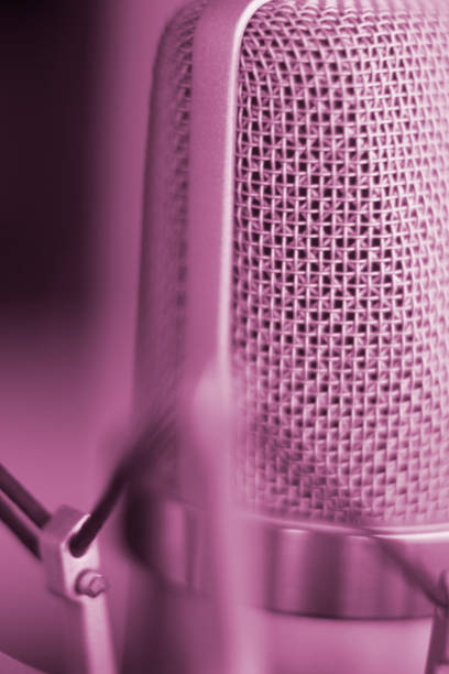 istock Large diaphragm condenser studio recording voice microphone to record professional voiceovers, singing and dubbing 850195608