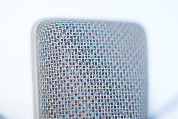 istock Large diaphragm condenser studio recording voice microphone to record professional voiceovers, singing and dubbing 850195780