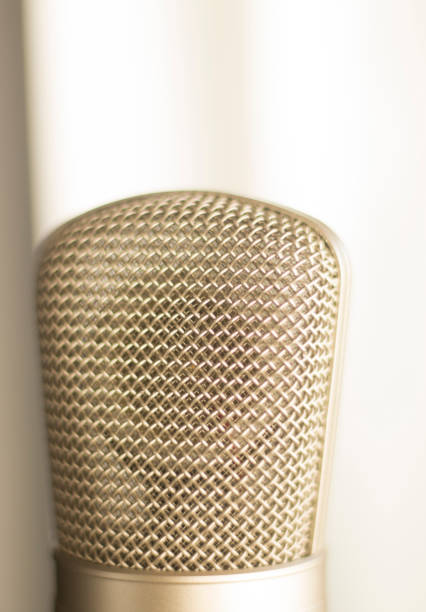 istock Large diaphragm condenser studio recording voice microphone to record professional voiceovers, singing and dubbing 850195798
