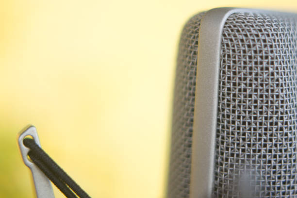 istock Large diaphragm condenser studio recording voice microphone to record professional voiceovers, singing and dubbing 850195846