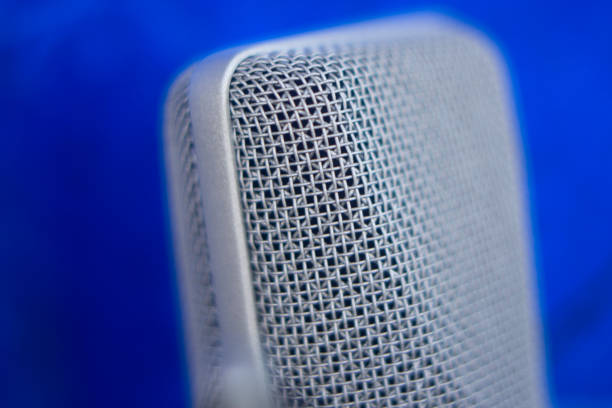 istock Large diaphragm condenser studio recording voice microphone to record professional voiceovers, singing and dubbing 850195872