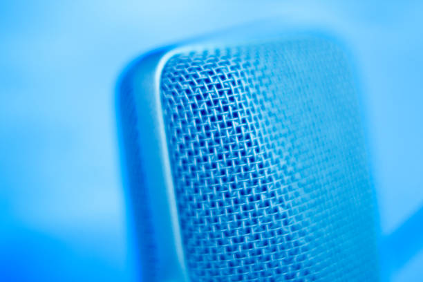 istock Large diaphragm condenser studio recording voice microphone to record professional voiceovers, singing and dubbing 850195874