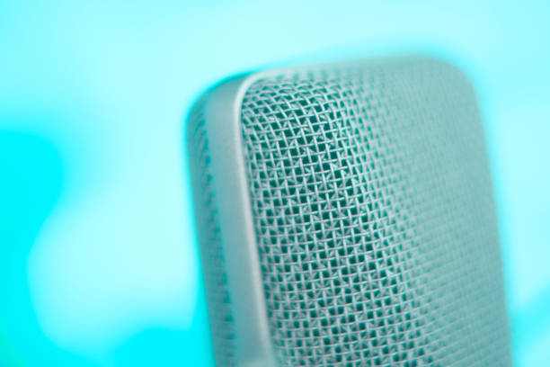 istock Large diaphragm condenser studio recording voice microphone to record professional voiceovers, singing and dubbing 850195888