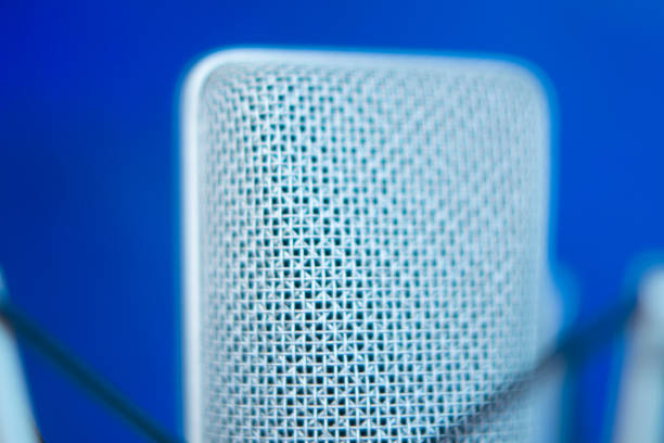 istock Large diaphragm condenser studio recording voice microphone to record professional voiceovers, singing and dubbing 850195906