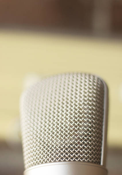 istock Large diaphragm condenser studio recording voice microphone to record professional voiceovers, singing and dubbing 850195912