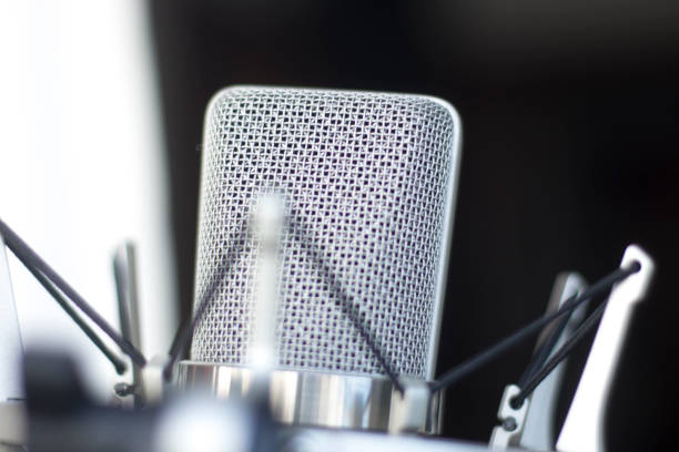 istock Large diaphragm condenser studio recording voice microphone to record professional voiceovers, singing and dubbing 850195956