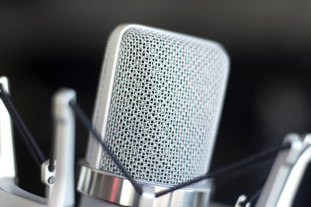 istock Large diaphragm condenser studio recording voice microphone to record professional voiceovers, singing and dubbing 850195978
