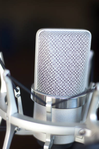 istock Large diaphragm condenser studio recording voice microphone to record professional voiceovers, singing and dubbing 850195980