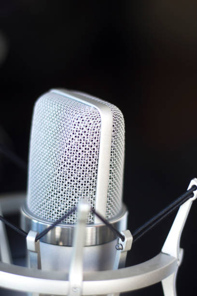 istock Large diaphragm condenser studio recording voice microphone to record professional voiceovers, singing and dubbing 850196008