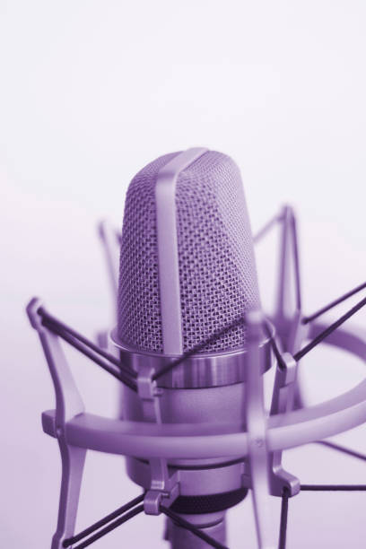 istock Large diaphragm condenser studio recording voice microphone to record professional voiceovers, singing and dubbing 850196020