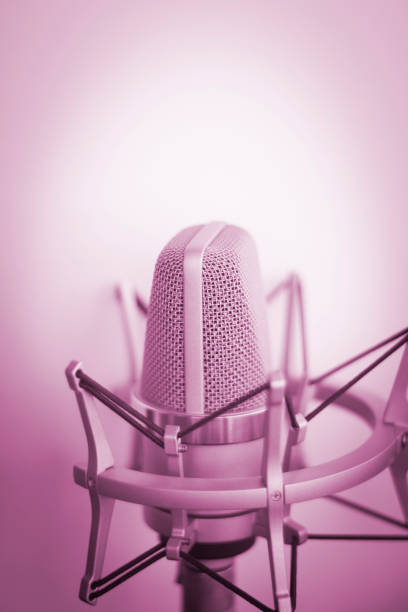 istock Large diaphragm condenser studio recording voice microphone to record professional voiceovers, singing and dubbing 850196028