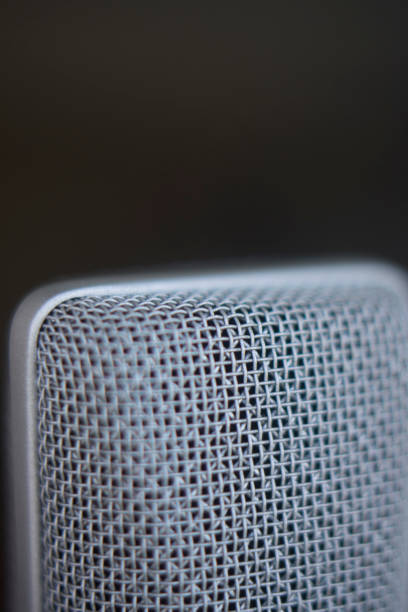 istock Large diaphragm condenser studio recording voice microphone to record professional voiceovers, singing and dubbing 850196154