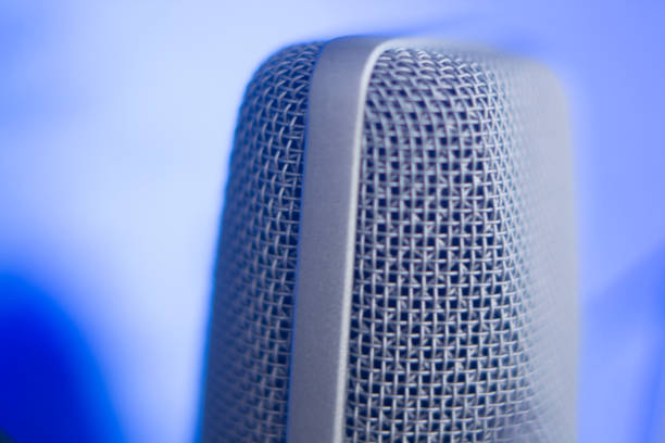 istock Large diaphragm condenser studio recording voice microphone to record professional voiceovers, singing and dubbing 850196254
