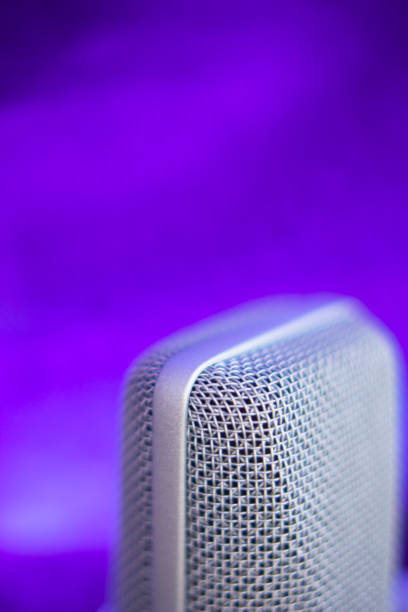 istock Large diaphragm condenser studio recording voice microphone to record professional voiceovers, singing and dubbing 850196636