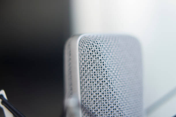 istock Large diaphragm condenser studio recording voice microphone to record professional voiceovers, singing and dubbing 850200180