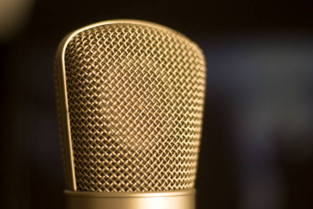 istock Large diaphragm condenser studio recording voice microphone to record professional voiceovers, singing and dubbing 850200294