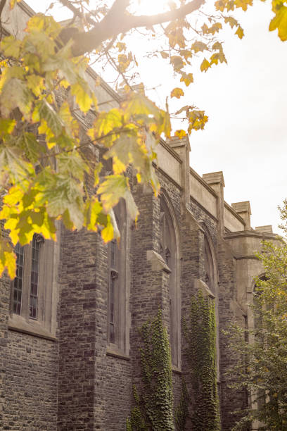 istock old gothic victorian stone building arches windows tree changing color 850207134