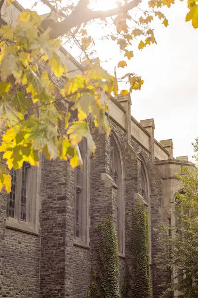 Photo of old gothic victorian stone building arches windows tree changing color