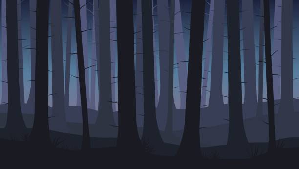 ilustraciones, imágenes clip art, dibujos animados e iconos de stock de paisaje con siluetas de árboles azules en el bosque de la noche oscura - ilustración vectorial - woods