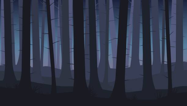 пейзаж с силуэтами синих деревьев в темном ночном лесу - векторная иллюстрация - woods stock illustrations