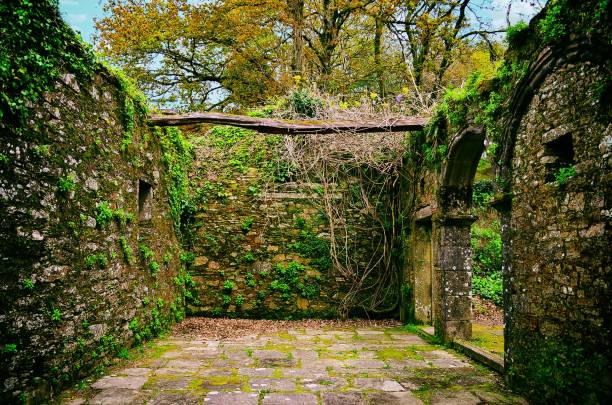 istock Ruin of a old house 850260008