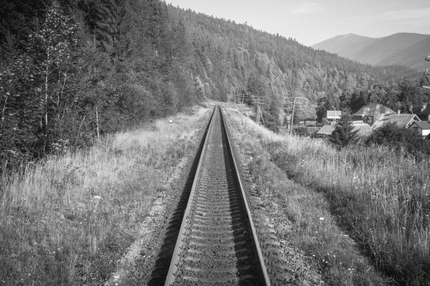 Travel, rest. A view of the railway tracks surrounded by trees, grass and bushes. Black and white image. Horizontal frame Travel, rest. A view of the railway tracks surrounded by trees, grass and bushes. Black and white image municipality of jesenice photos stock pictures, royalty-free photos & images