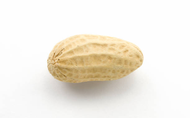 istock Macro closeup of Peanuts, isolated on white background 850270564