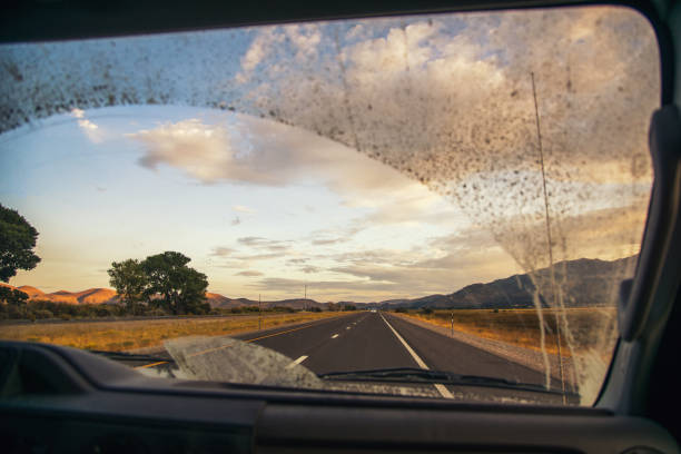 istock Road through the dirty truck windshield, focus on the road 850310254