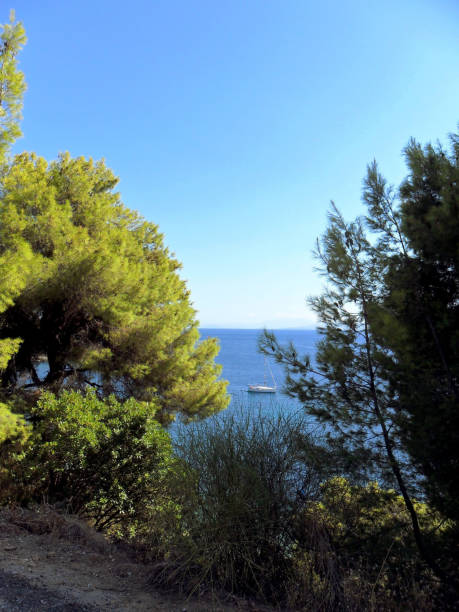 istock Greece, vacations on the island of Skiathos 850310722
