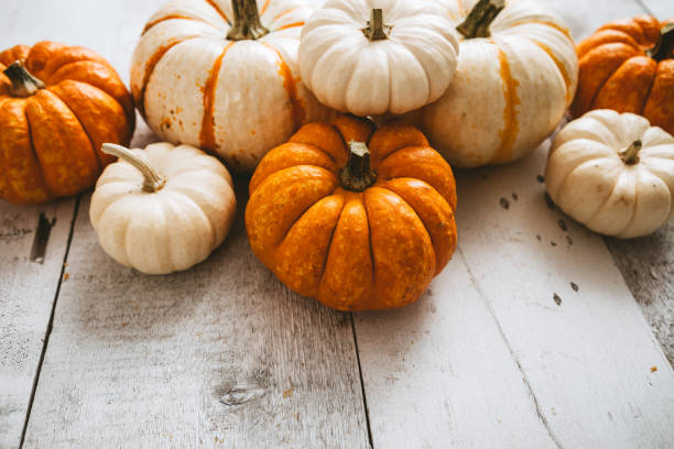 istock Colorful Mini Pumpkins on Wood 850337434