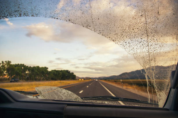 Road through the dirty truck windshield, focus on the wiper Driving on a road with a dirty windshield windshield wiper photos stock pictures, royalty-free photos & images