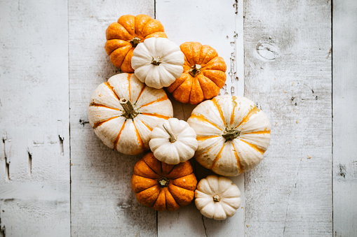 A high angle view looking down on orange and white gourds on a rustic wooden background, just in time for your autumn or Thanksgiving season celebration.  Horizontal image with copy space.