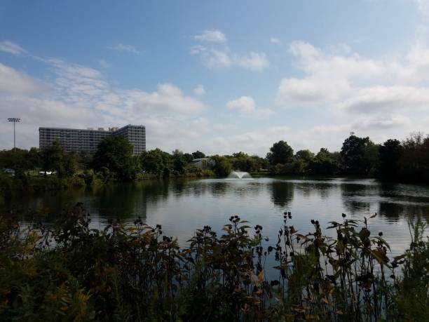 istock park with lake, fountain, and bench 850340970