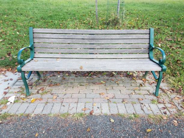 istock wood bench in a park with water and leaves 850343160