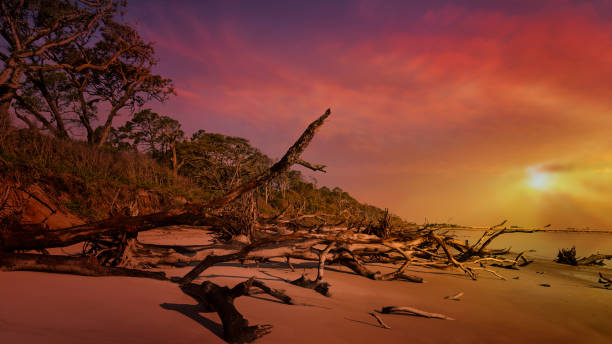 black rock beach - fernandina beach - fotografias e filmes do acervo