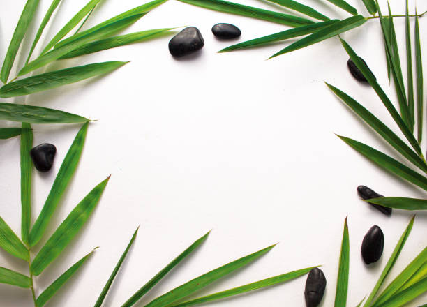 istock White paper with tropical leaf frame. Green bamboo leaf and sea beach pebbles flat lay. 850414858