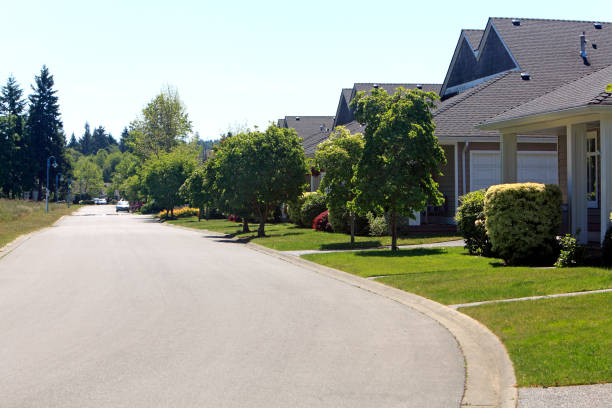 istock Quiet Residential Treelined Street 850422152