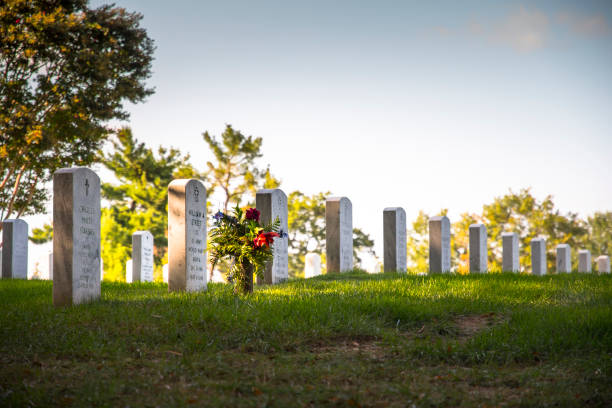 flowers by tombstone at arlington national cemetery - arlington virginia arlington national cemetery veteran cemetery imagens e fotografias de stock