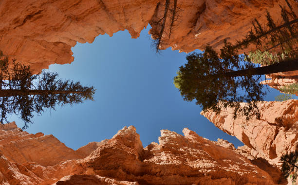 istock Bryce Canyon National Park, Utah, USA 850447492