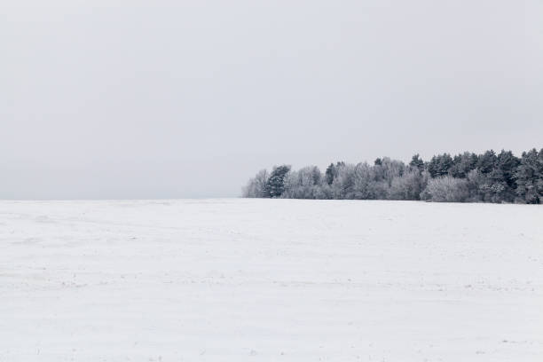 istock Snow drifts in winter 850450620