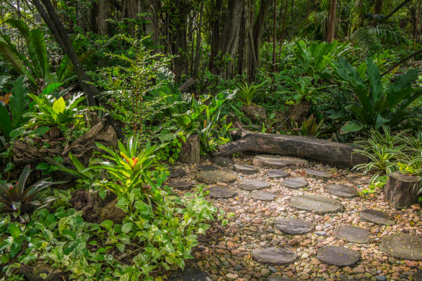 istock Stone pathway in the garden 850471250