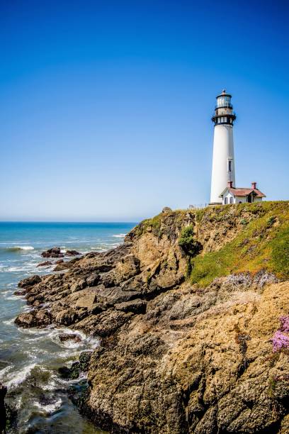 istock Lighthouse standing on big sure california coastline on pacific ocean 850477556