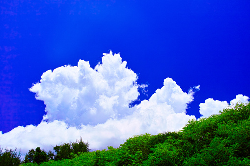 Miyakojima in summer, forest and summer clouds in southern country