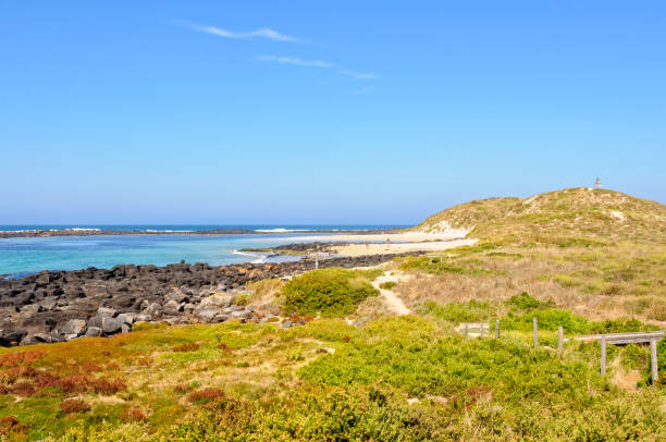istock Griffiths Island - Port Fairy 850609290
